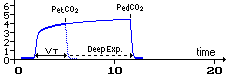 Capnogram during a deep expiration